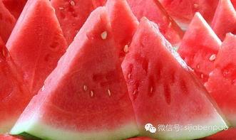 吃瓜文完结,揭秘吃瓜文背后的精彩故事